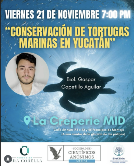 Guardianes del Litoral: Tortugas Marinas en Yucatán / SCA Mérida